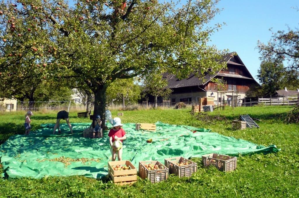 #TaketheKids – Ausflüge in und um Zürich