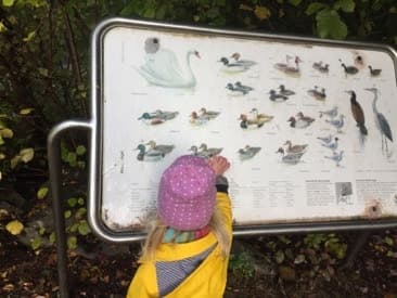 10 Ideen für den Tag draussen mit Kindern | www.anyworkingmom.com