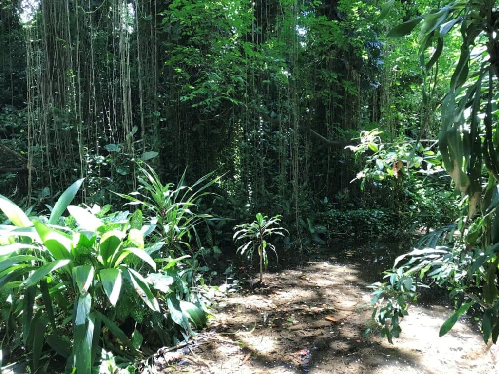 Mauritius mit Kindern