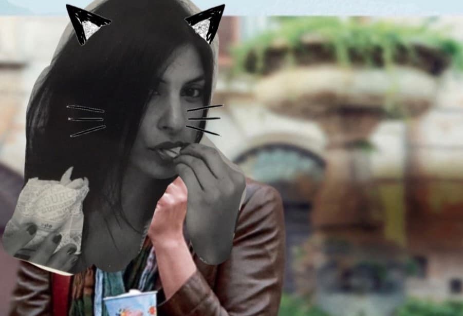 Frau mit Katzenohren - Ein humorvoller Text über Suchen einer verschwundenen Katze