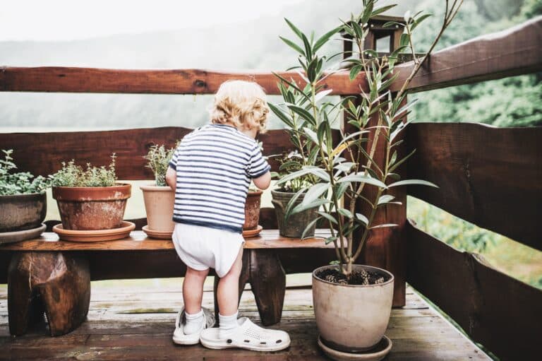Kind fasst Pflanze an. Es gibt Giftige Pflanzen für Kinder.