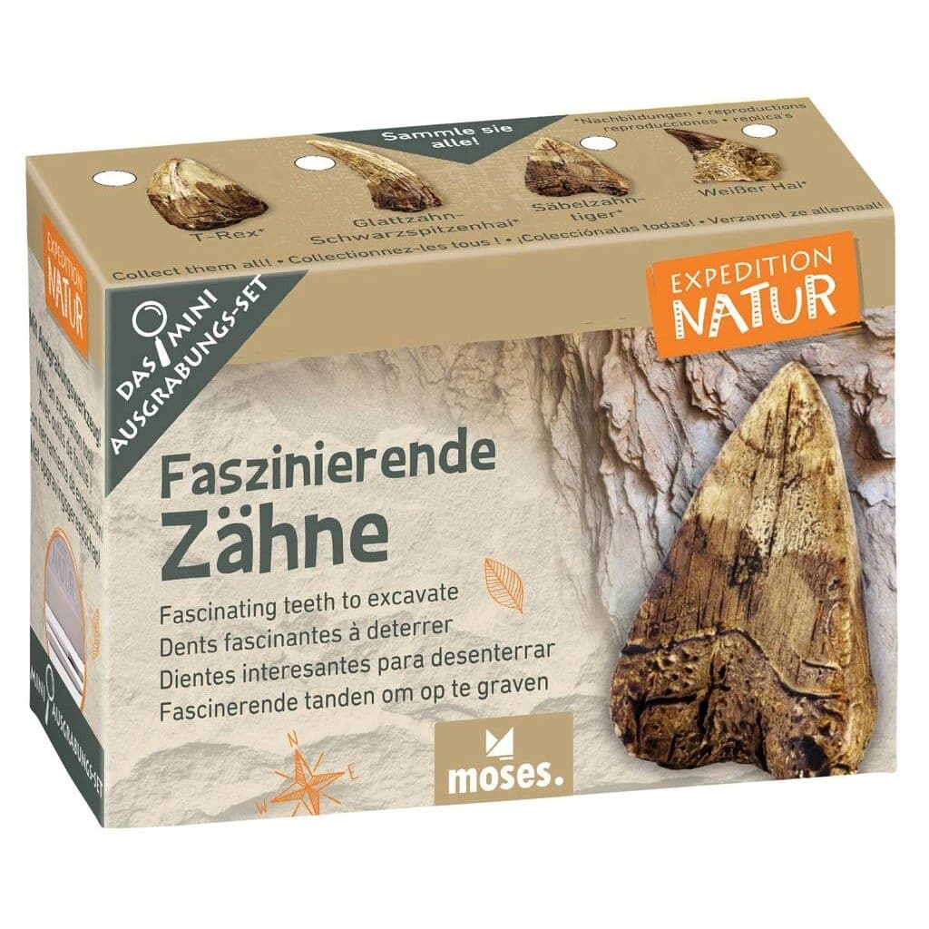 Mini-Ausgrabungsset «Expedition Natur»: Fundstück mit Meissel und Pinsel freilegen. Sechs Themen von Fossilien bis Münzen, inkl. Sammelkarte. Ab 6 Jahren.