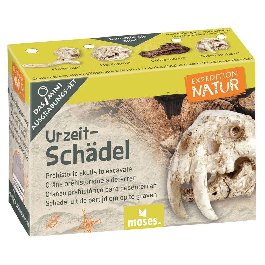Mini-Ausgrabungsset «Expedition Natur»: Fundstück mit Meissel und Pinsel freilegen. Sechs Themen von Fossilien bis Münzen, inkl. Sammelkarte. Ab 6 Jahren.