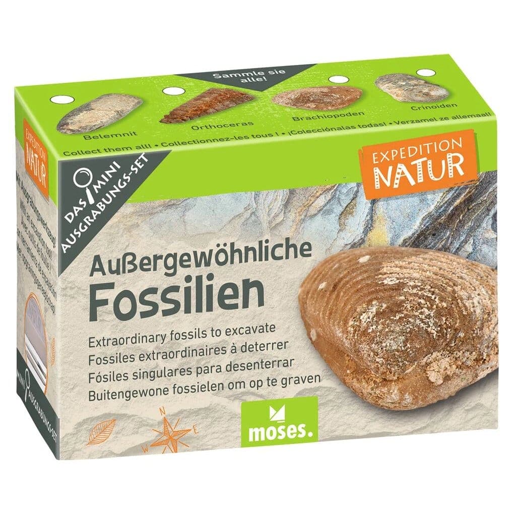 Mini-Ausgrabungsset «Expedition Natur»: Fundstück mit Meissel und Pinsel freilegen. Sechs Themen von Fossilien bis Münzen, inkl. Sammelkarte. Ab 6 Jahren.