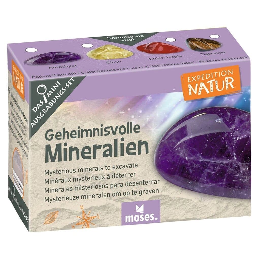 Mini-Ausgrabungsset «Expedition Natur»: Fundstück mit Meissel und Pinsel freilegen. Sechs Themen von Fossilien bis Münzen, inkl. Sammelkarte. Ab 6 Jahren.