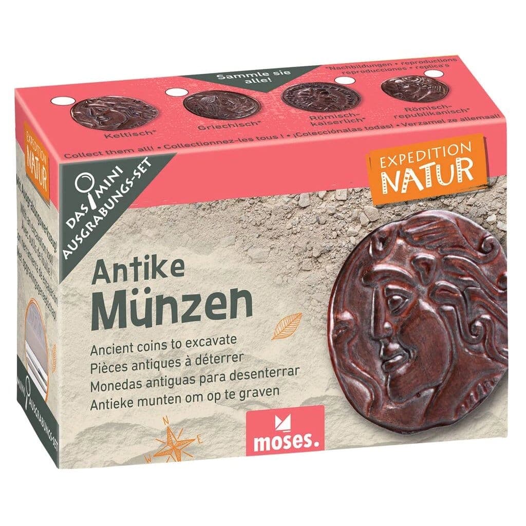 Mini-Ausgrabungsset «Expedition Natur»: Fundstück mit Meissel und Pinsel freilegen. Sechs Themen von Fossilien bis Münzen, inkl. Sammelkarte. Ab 6 Jahren.