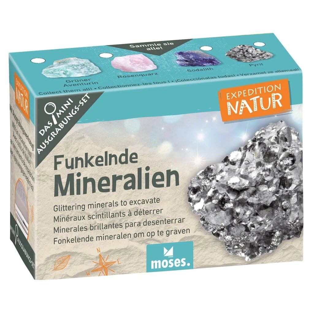 Mini-Ausgrabungsset «Expedition Natur»: Fundstück mit Meissel und Pinsel freilegen. Sechs Themen von Fossilien bis Münzen, inkl. Sammelkarte. Ab 6 Jahren.