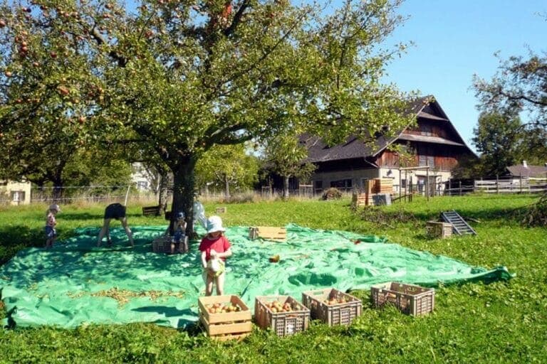 #TaketheKids – Ausflüge in und um Zürich