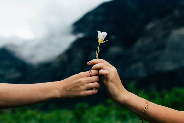 Zwei Hände, die eine Blume halten. Eine Beziehung zu pflegen, ist besonders für junge Eltern anspruchsvoll. Positive Psychologie hilft.