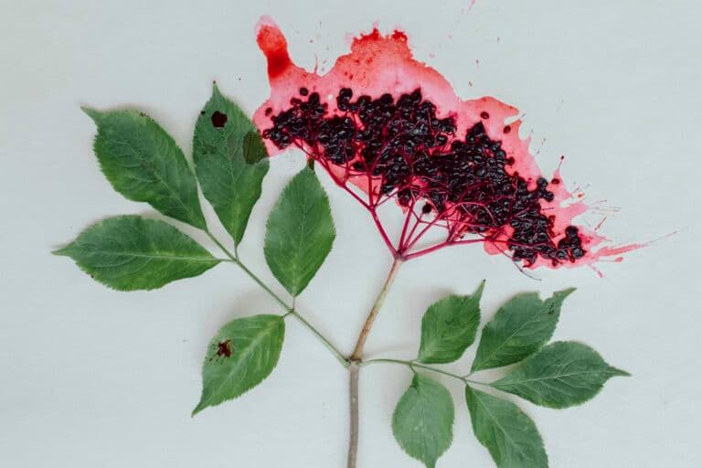 Der Menstruationszyklus umfasst viel mehr als nur die Blutung, und hat für einige Frauen viele unangenehme Seiten. Erfahrungen und Tipps: www.mal-ehrlich.ch