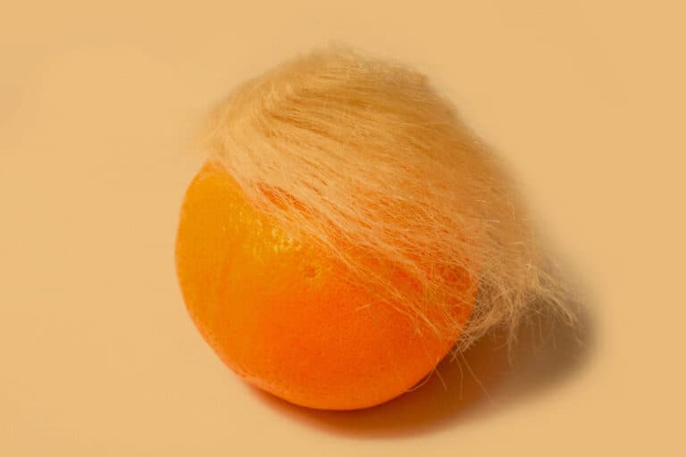 Mandarine mit flauschigem Haar - Bad Hair(s) Day - wenn Haare plötzlich überall spriessen - mal ehrlich