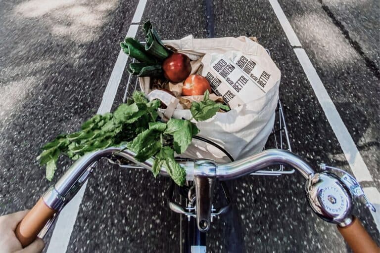 Stoffbeutel mit Gemüse und Früchten, der in einem Fahrradkorb transportiert wird. Mehr Nachhaltigkeit im Familienalltag? Tipps für Eltern.