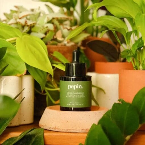 Nährendes Serum für Zimmerpflanzen