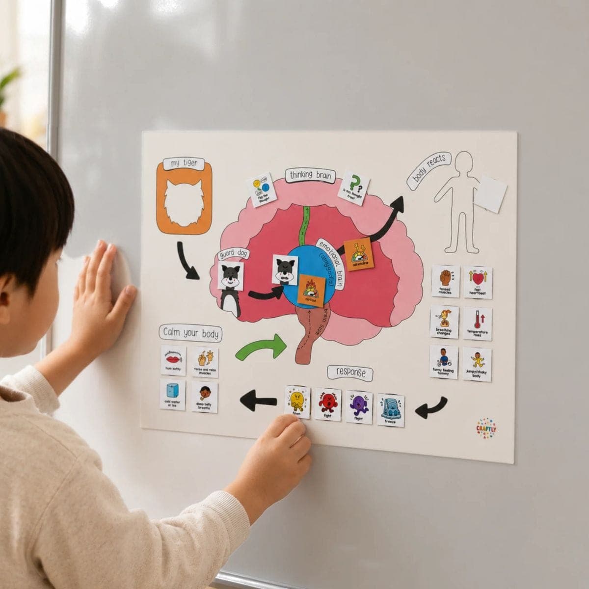 Alarmsystem im Gehirn: Erklärtafel für Kinder